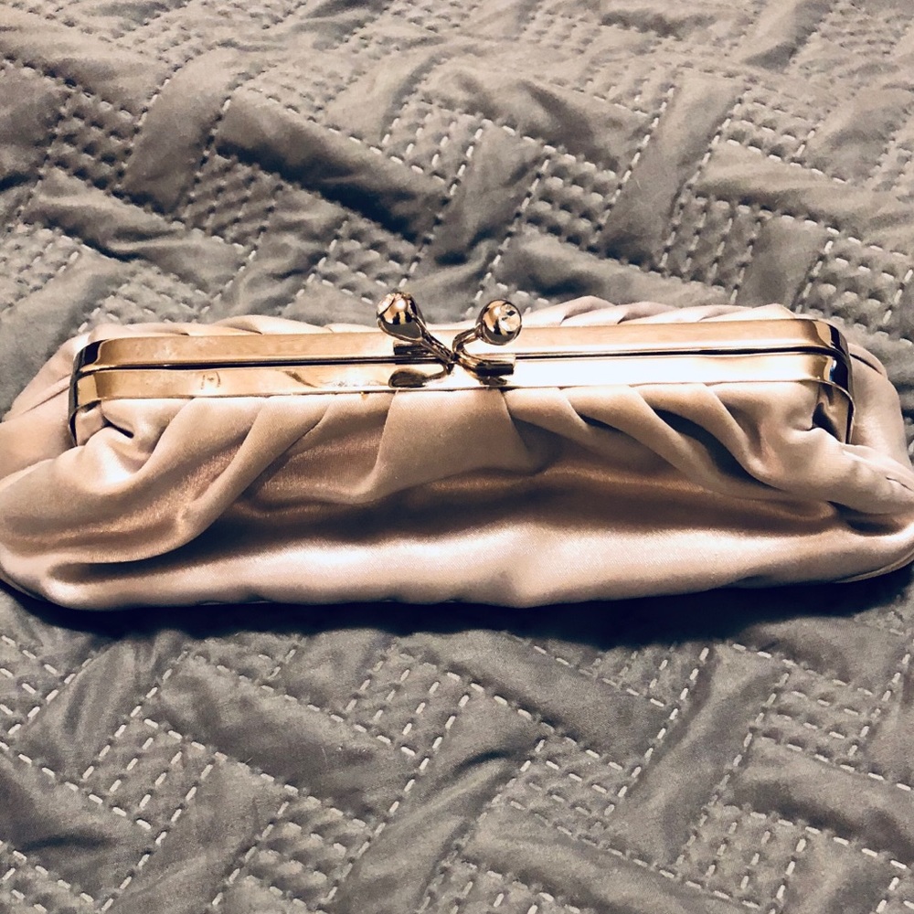 Evening Purse or clutch